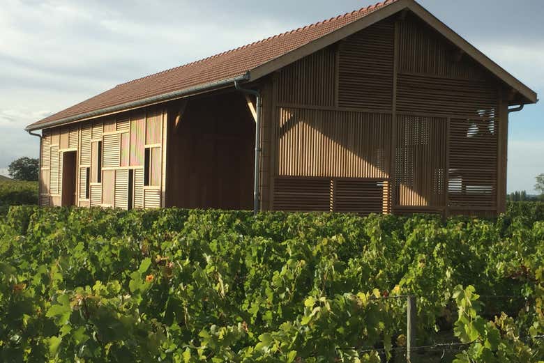 Visita al Château Clos Systey