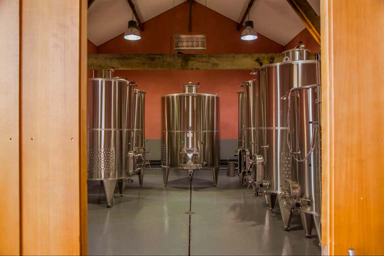 Visita al Château Clos Systey