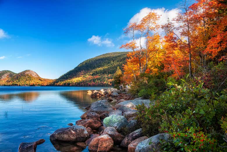 Excursión al Parque Nacional Acadia