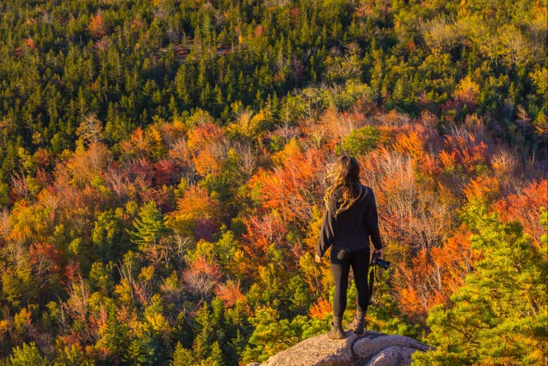 Excursión al Parque Nacional Acadia