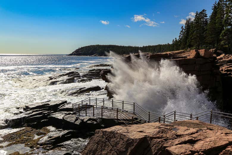 Excursión al Parque Nacional Acadia