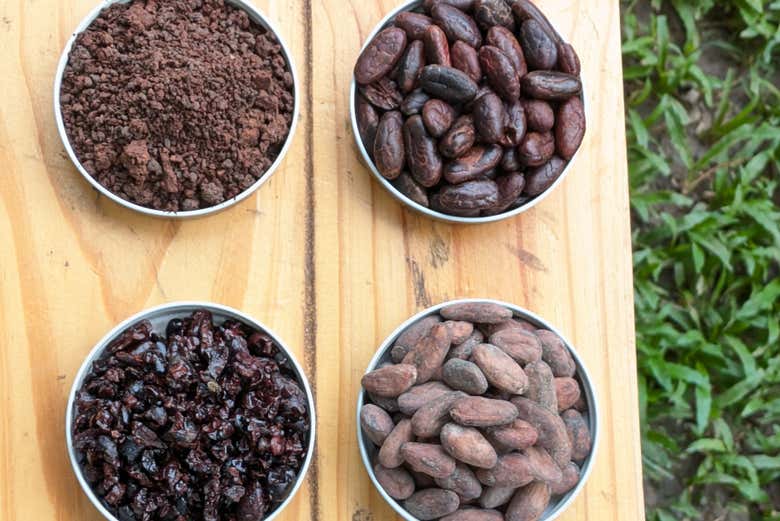 Taller de cacao en Casa Jocolate Minca