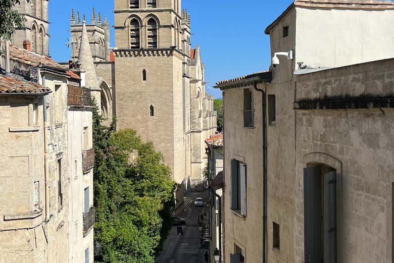 Tour en bicicleta eléctrica por Montpellier