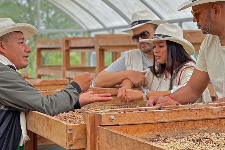 Visita a una finca cafetera de Santa Rosa de Cabal