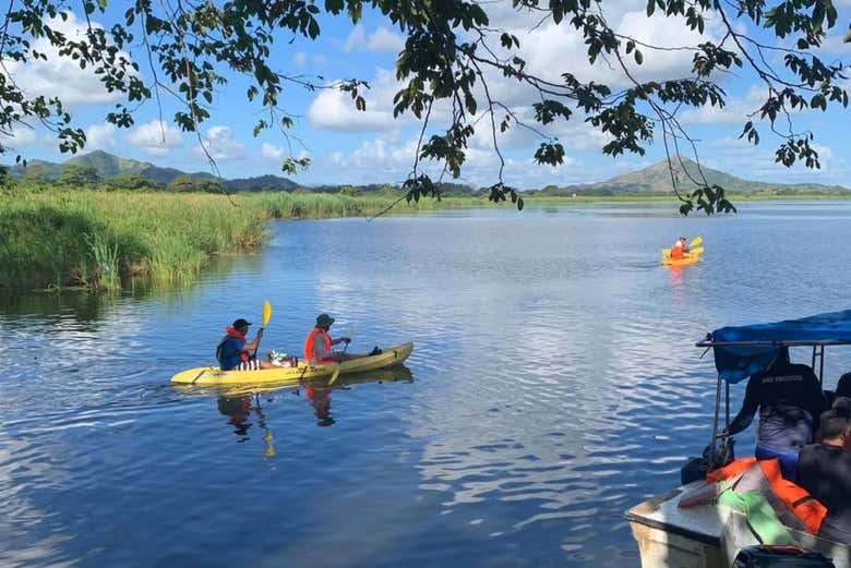 Tour en kayak por la laguna del Limón