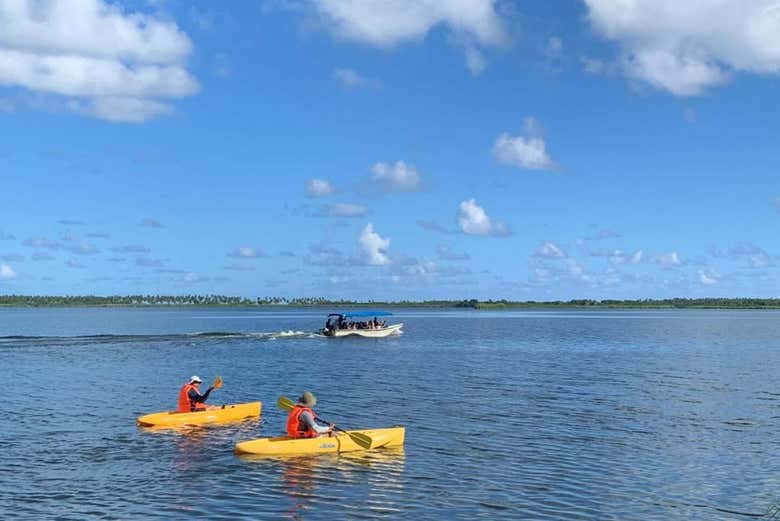 Tour en kayak por la laguna del Limón