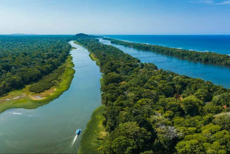 Tour en lancha por el Parque Nacional Tortuguero