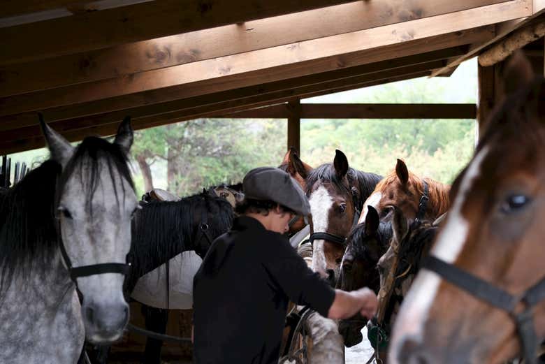 Paseo a caballo por la Laguna Sofía