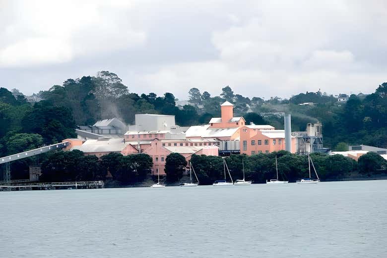 Paseo en barco por Auckland