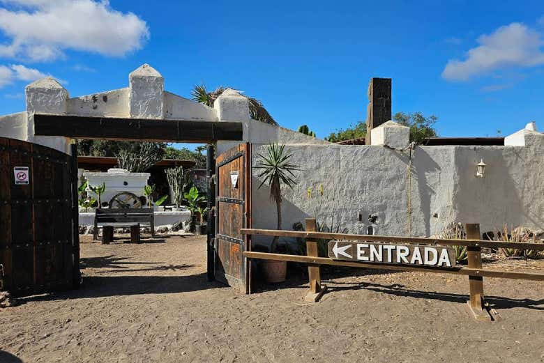 Paseo en camello por Los Cristianos con visita a una granja