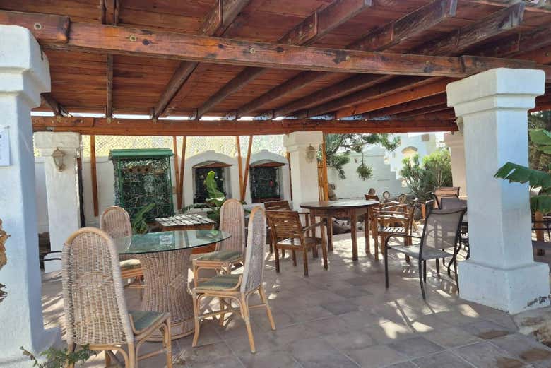 Paseo en camello por Los Cristianos con visita a una granja