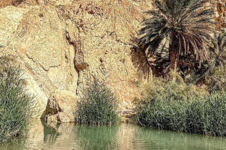 Excursión de 2 días a Kairuán, Douz y El Djem