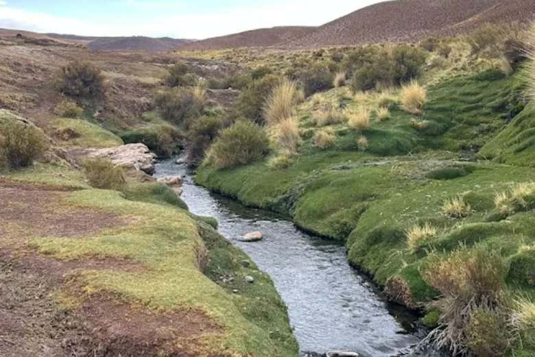 Excursión a San Antonio de los Cobres y las termas de Tuzgle