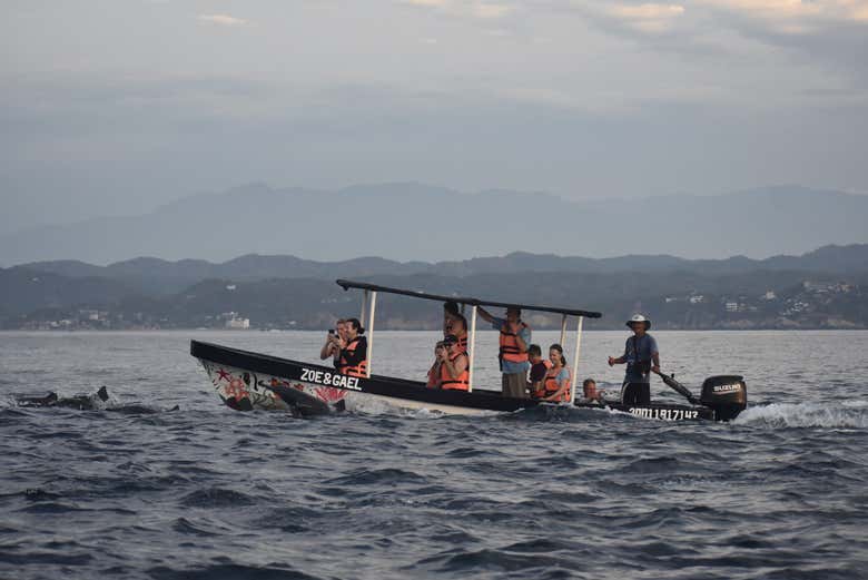 Avistamiento de ballenas en Puerto Ángel