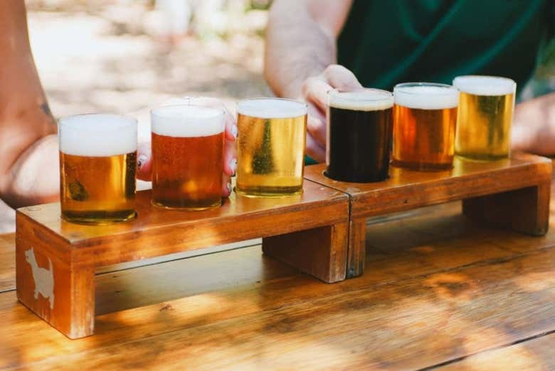Visita a la Cervecería de Colima