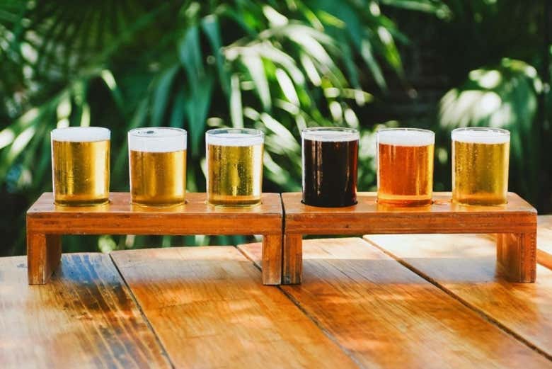 Visita a la Cervecería de Colima