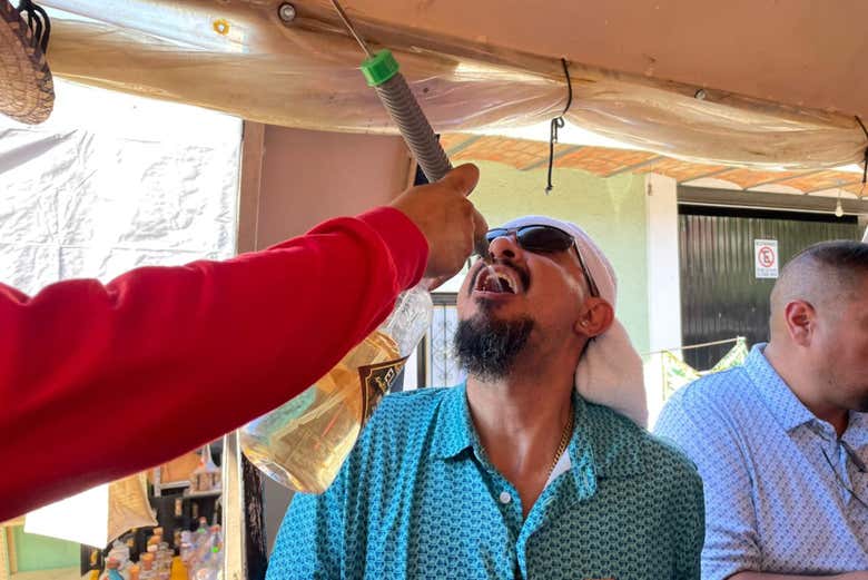 Autobús barril de Tequila + Visita a la destilería La Aguirreña