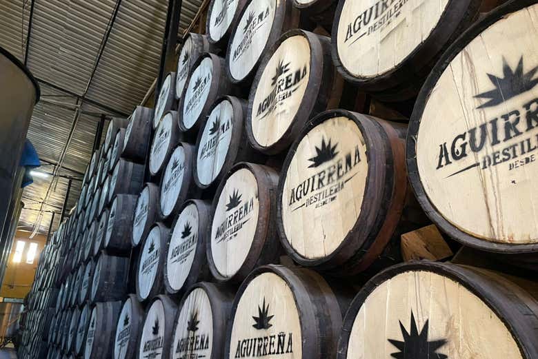 Autobús barril de Tequila + Visita a la destilería La Aguirreña