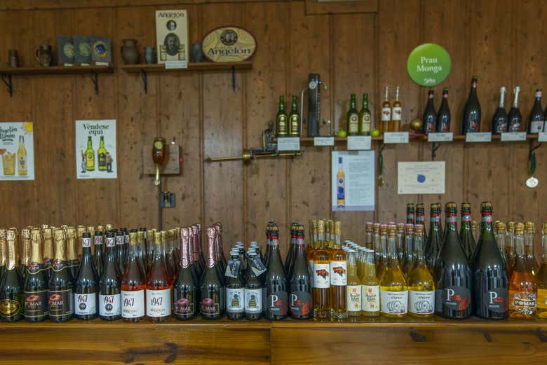 Visita al llagar Sidra Viuda de Angelón
