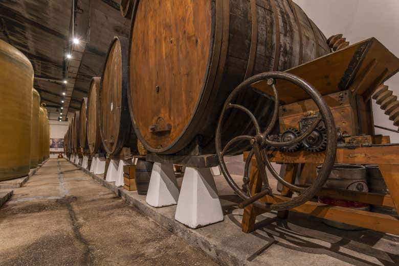 Visita al llagar Sidra Viuda de Angelón