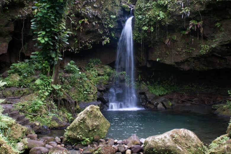 Excursión a la Piscina Esmeralda, cataratas Spanny y Jardín Botánico