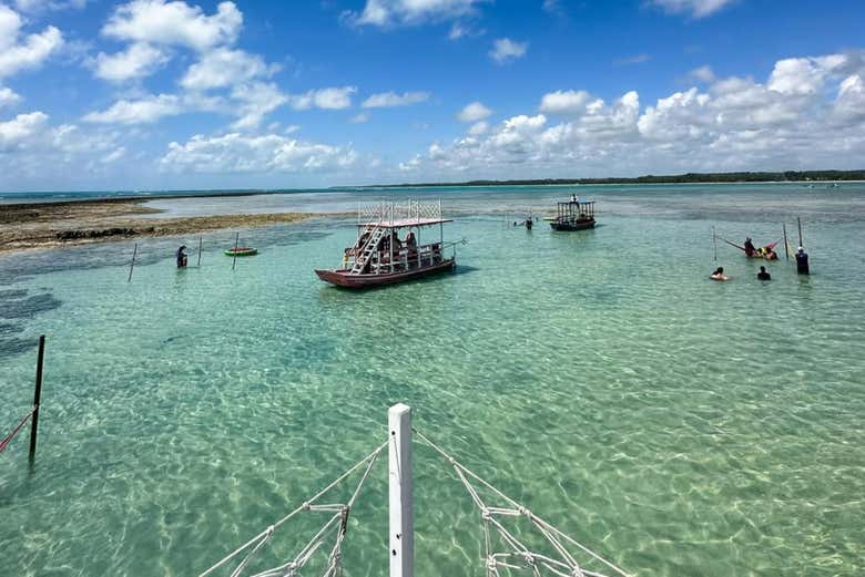 Paseo en barco por la playa del Patacho