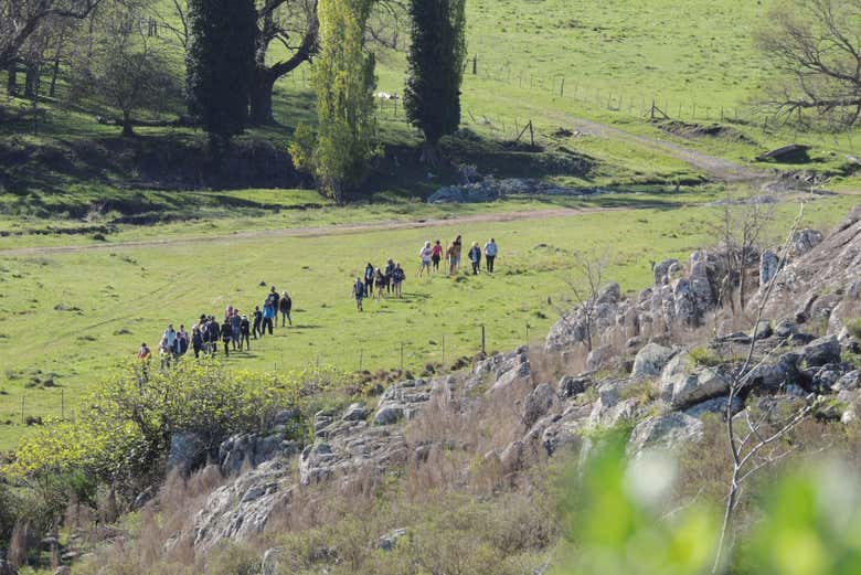 Senderismo por el cerro Venado