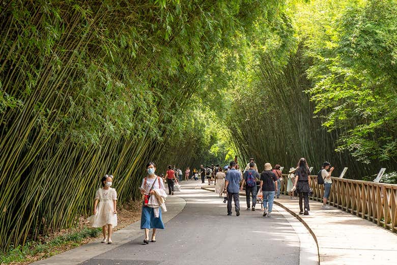 Entrada a la base de pandas de Chengdú