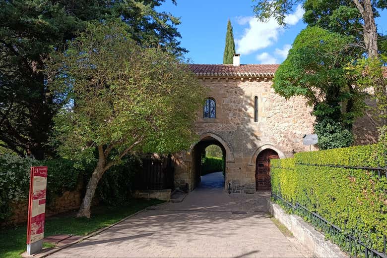 Free tour por el río Duero