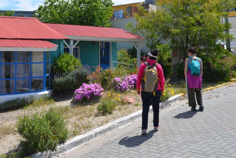 Free tour por Puerto Pirámides