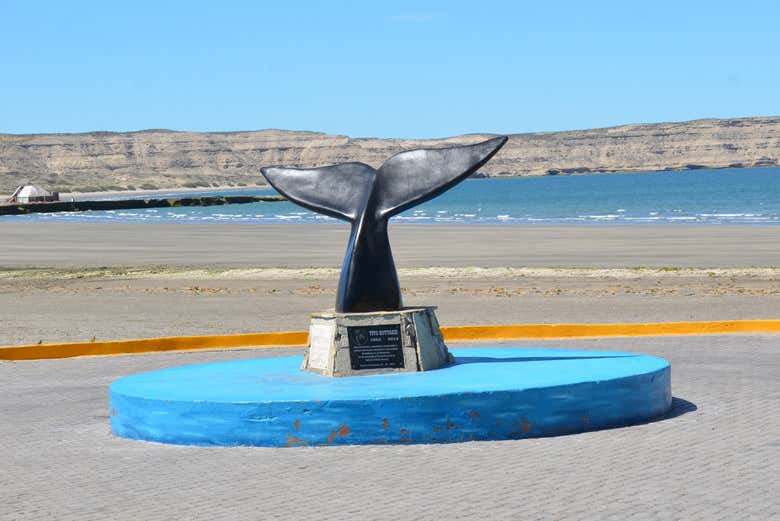 Free tour por Puerto Pirámides