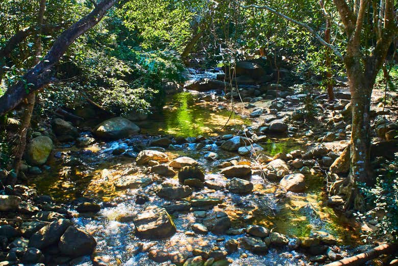 Senderismo hasta la cascada Palo María