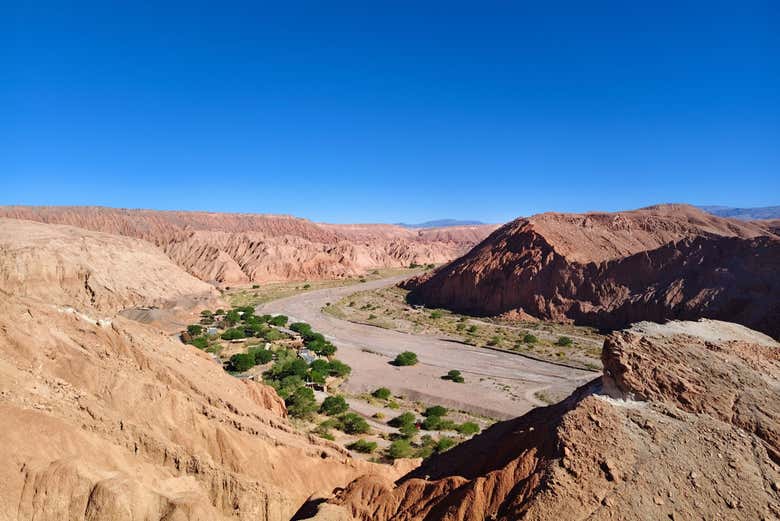 Excursión a la Aldea de Tulor y Pucará de Quitor - Galería 2