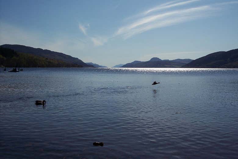 Excursión por lo mejor de las Highlands