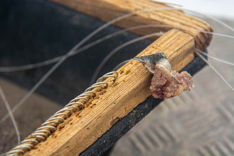 Pesca en Rabo de Peixe