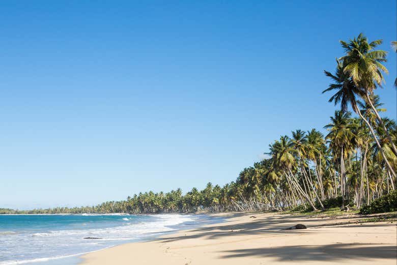 Paseo a caballo por la playa El Limón