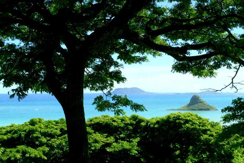 Tour en camión safari por la selva de Hakipu'u