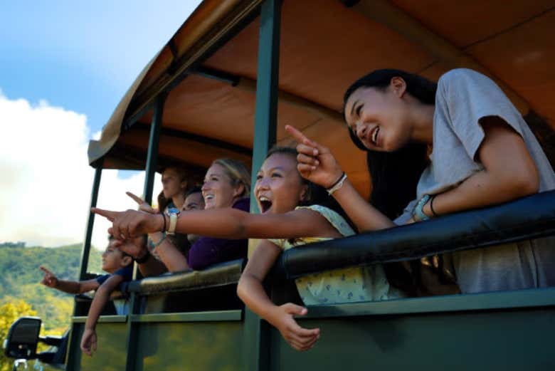 Tour en camión safari por la selva de Hakipu'u
