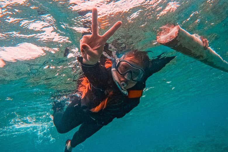 Excursión a Balicasag con avistamiento de delfines