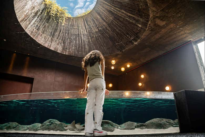 Entrada al Gran Acuario Mazatlán