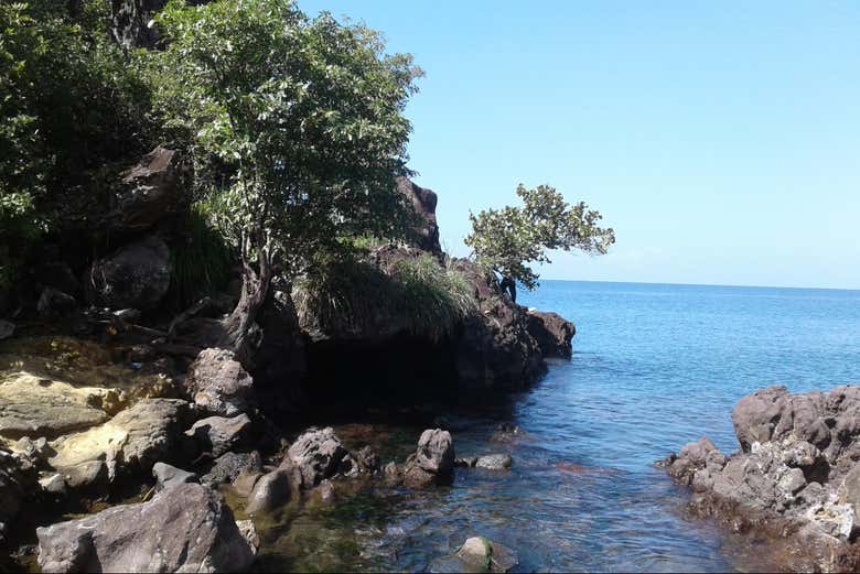 Snorkel en el arrecife de Champán
