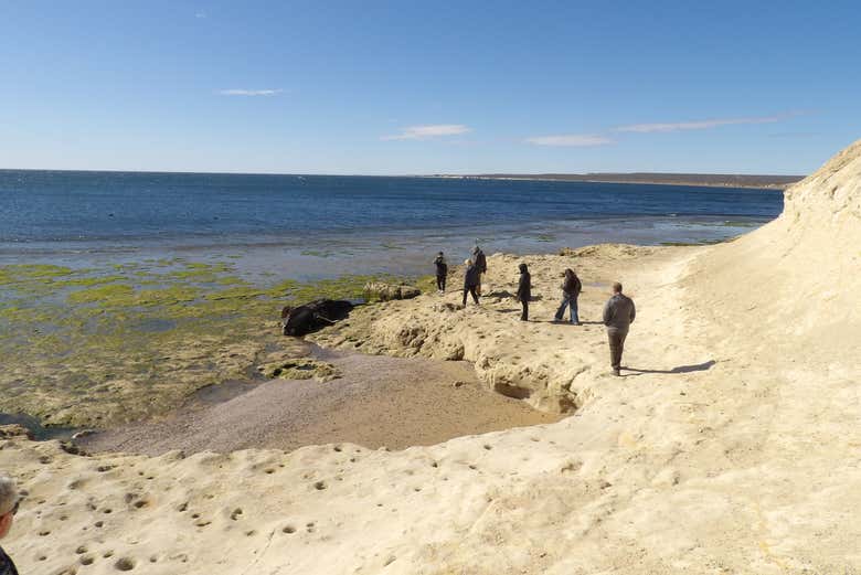 Senderismo por Punta Este