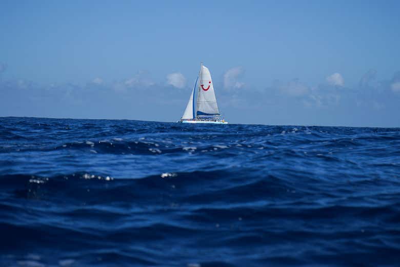 Paseo en catamarán por la costa de Sal Rei