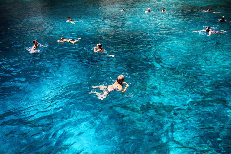 Snorkel en la costa de Canea