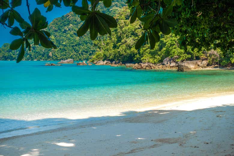 Excursión a las islas Surin en lancha rápida