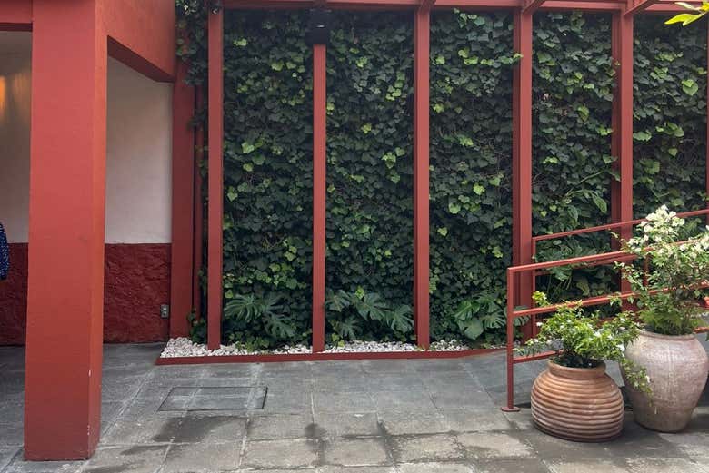 Entrada al Museo Casa Roja de Frida Kahlo