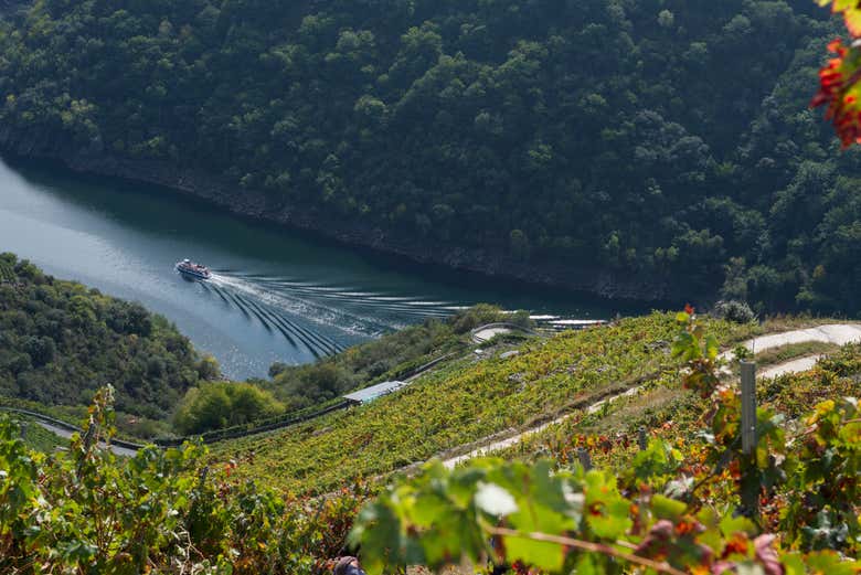 Excursión a la Ribeira Sacra y Orense