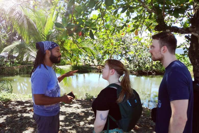 Tour gastronómico por Puerto Viejo