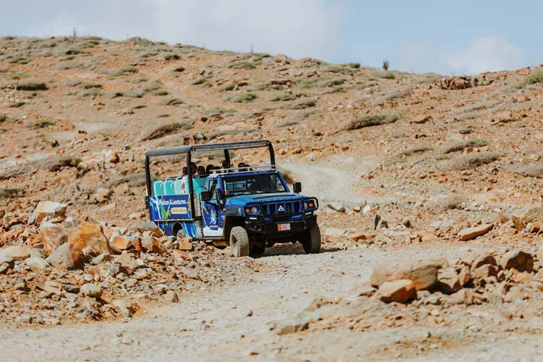 Tour en 4x4 por Aruba