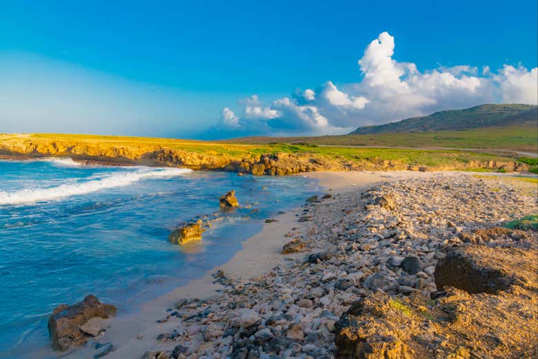 Tour en 4x4 por Aruba